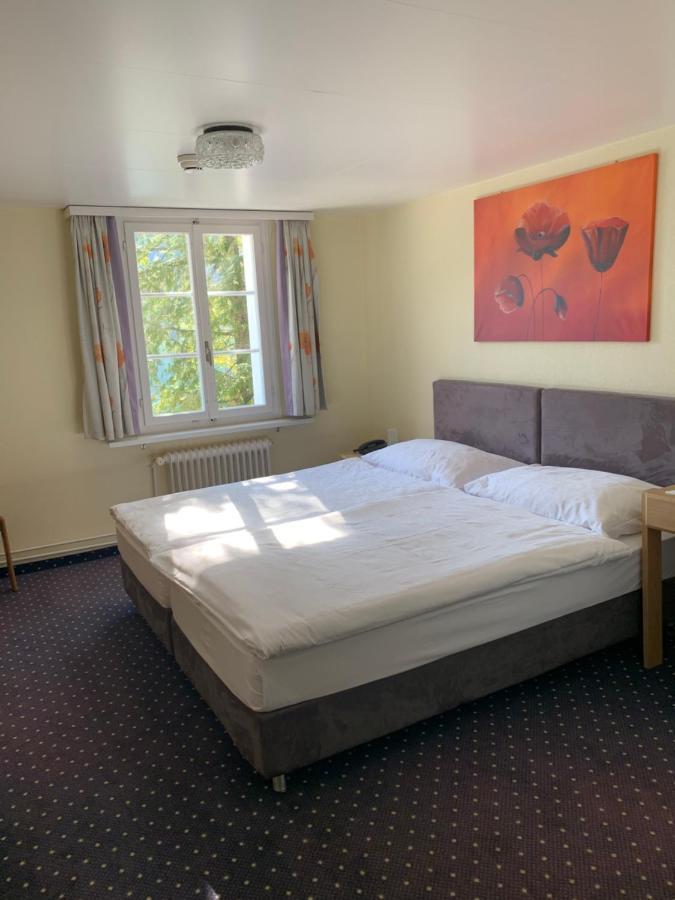 Hotel - Restaurant Eierhals Am Aegerisee Oberägeri エクステリア 写真