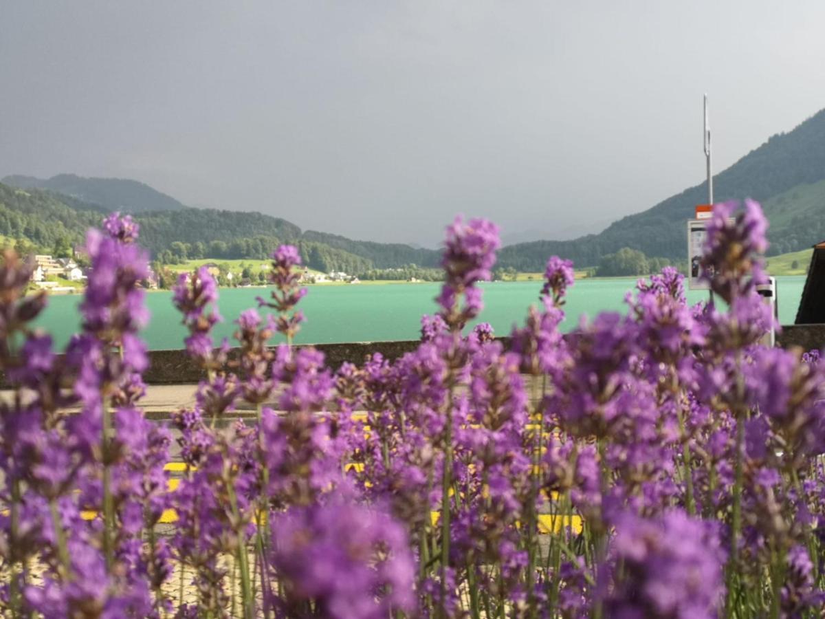 Hotel - Restaurant Eierhals Am Aegerisee Oberägeri エクステリア 写真