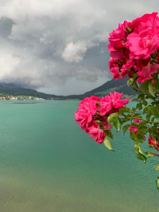 Hotel - Restaurant Eierhals Am Aegerisee Oberägeri エクステリア 写真