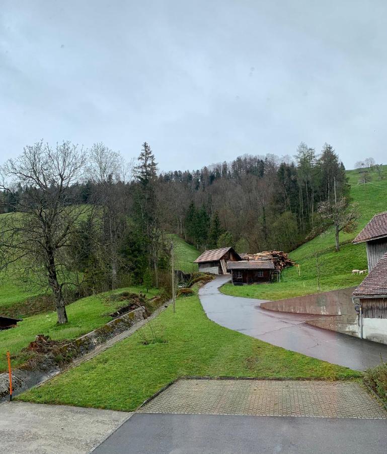 Hotel - Restaurant Eierhals Am Aegerisee Oberägeri エクステリア 写真